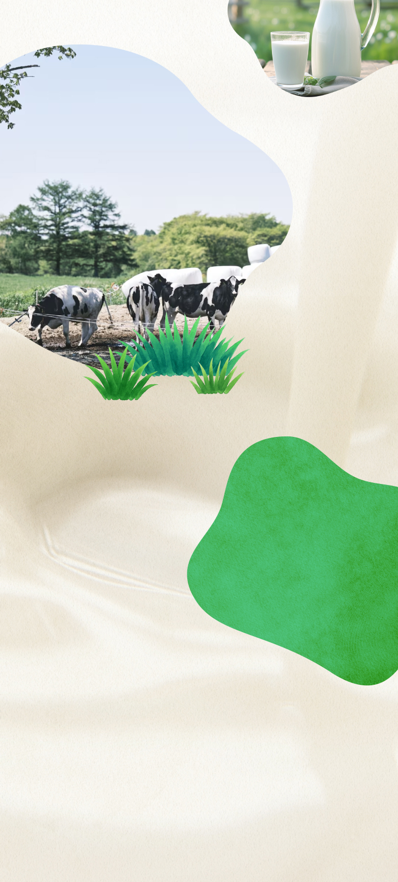 ピュアナチュールオーガニック